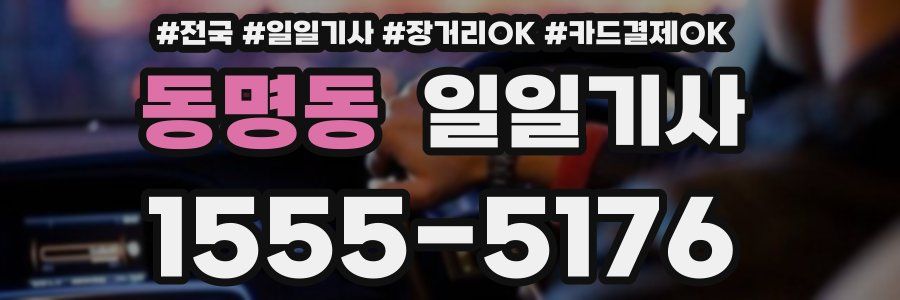 동명동 일일기사