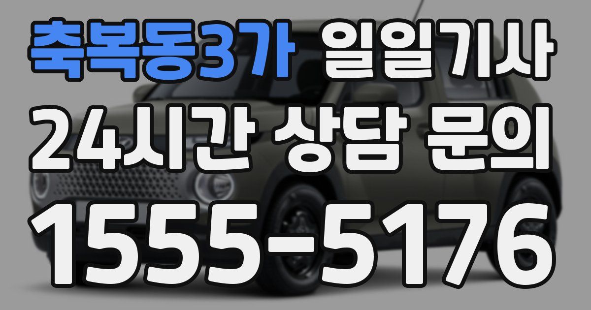 일일대리기사