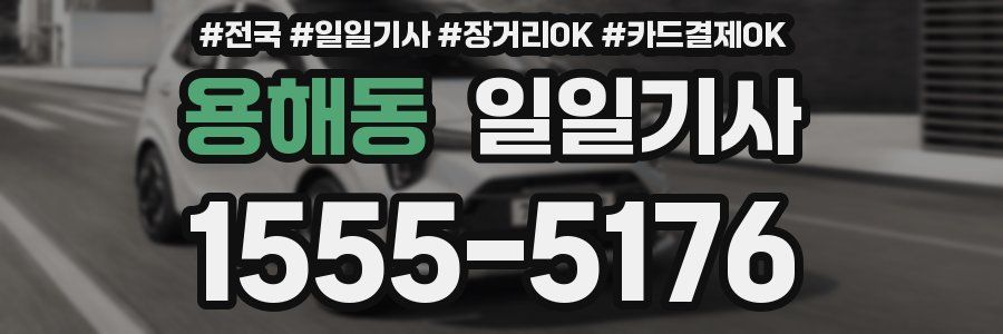 용해동 일일기사