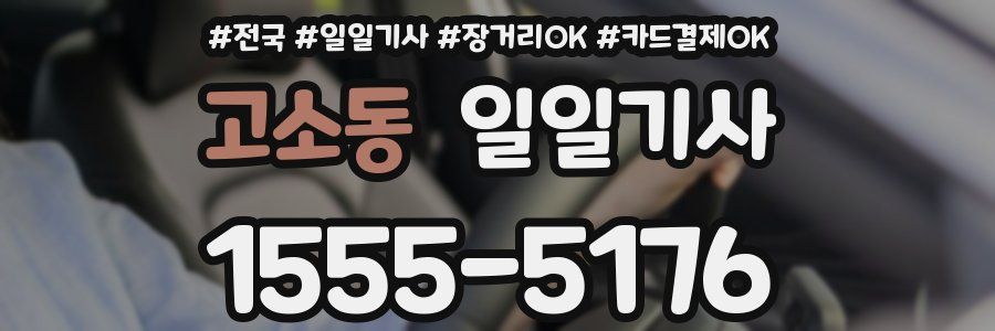 고소동 일일기사