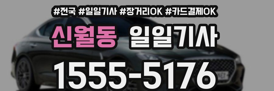 신월동 일일기사