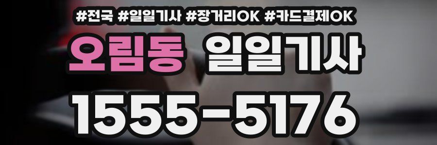 오림동 일일기사