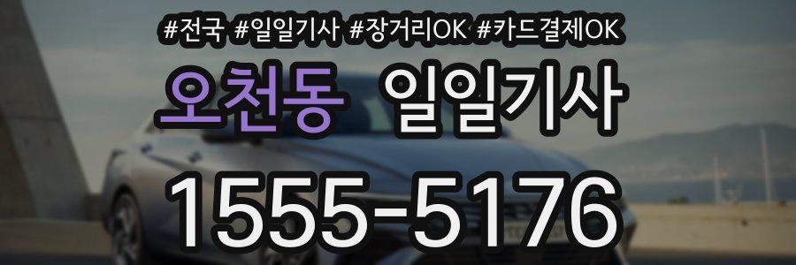 오천동 일일기사