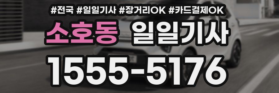 소호동 일일기사