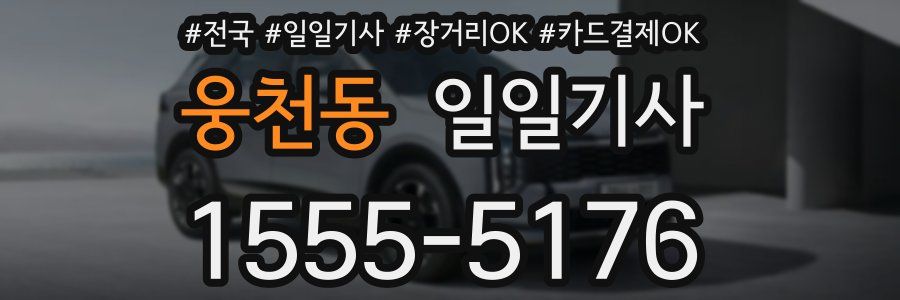 웅천동 일일기사