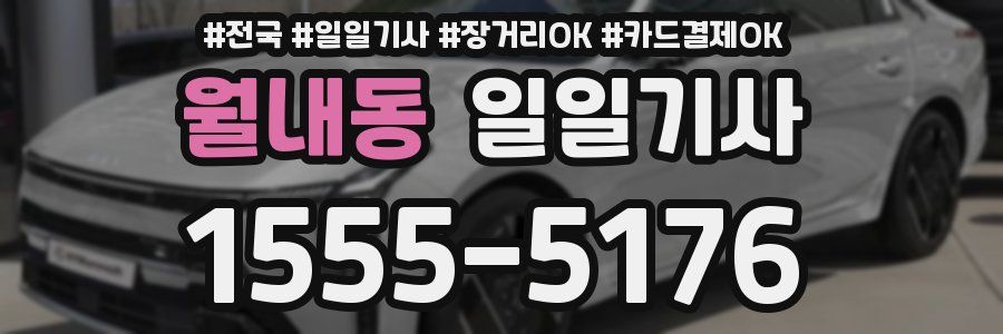 월내동 일일기사