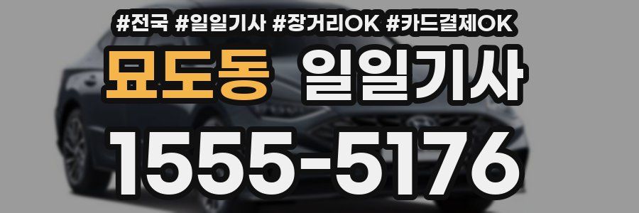 묘도동 일일기사