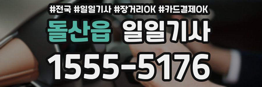 돌산읍 일일기사