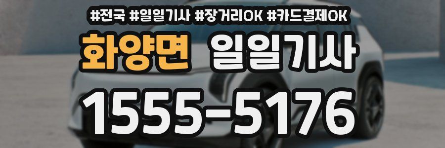 화양면 일일기사