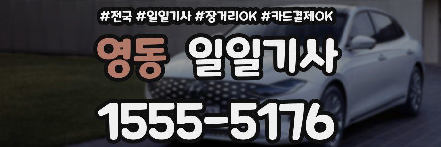 영동 일일기사