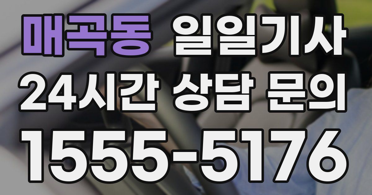 일일대리기사
