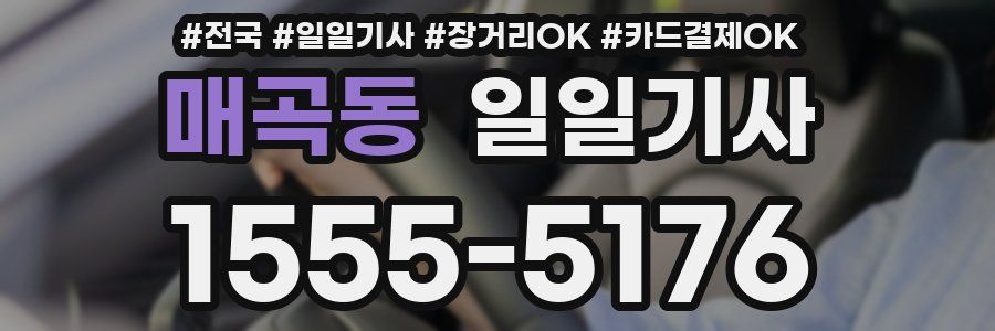 매곡동 일일기사