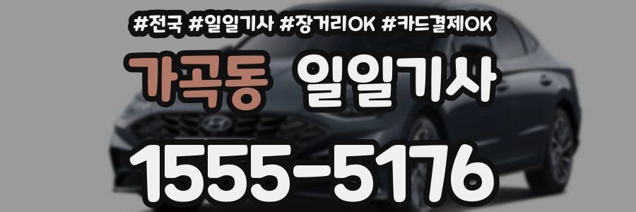가곡동 일일기사