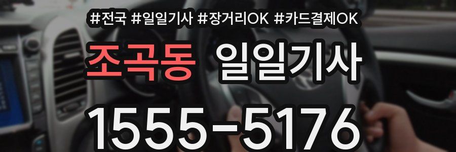 조곡동 일일기사