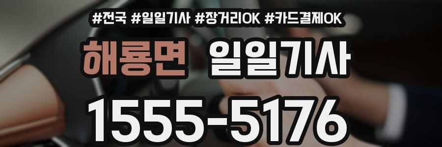 해룡면 일일기사