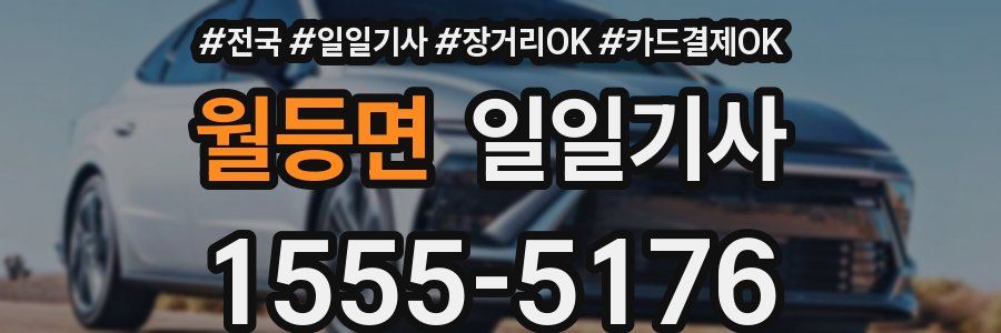 월등면 일일기사