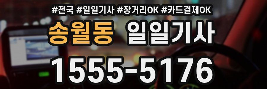 송월동 일일기사