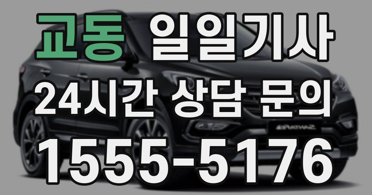 일일대리기사
