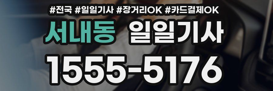 서내동 일일기사
