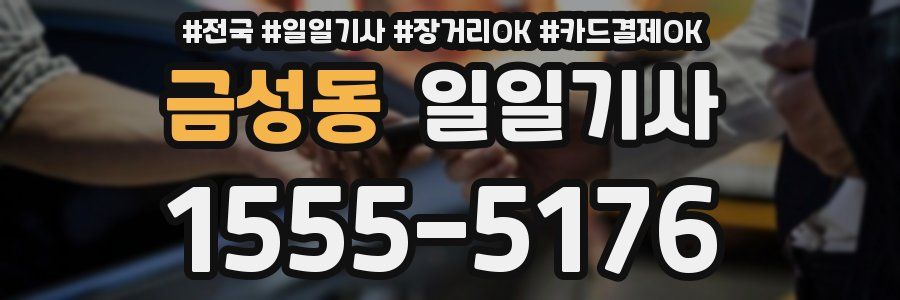 금성동 일일기사