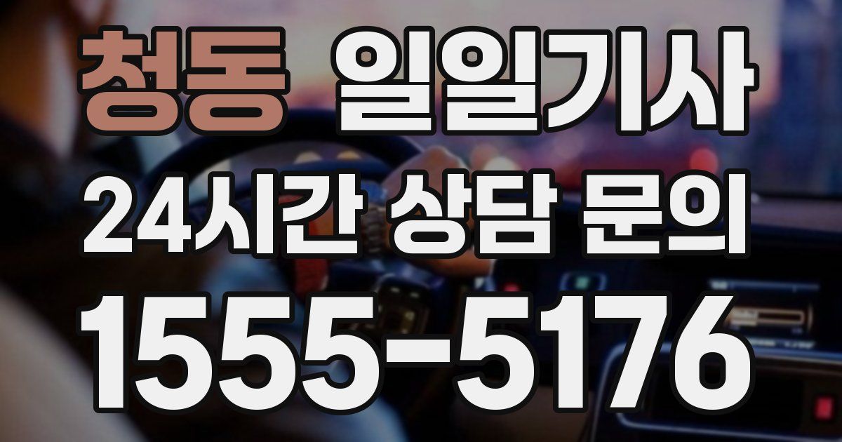 일일대리기사