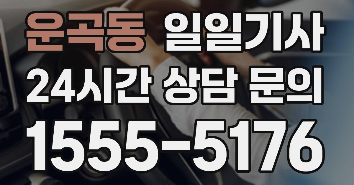 일일대리기사