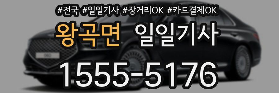 왕곡면 일일기사