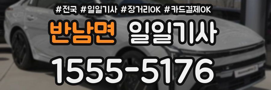 반남면 일일기사