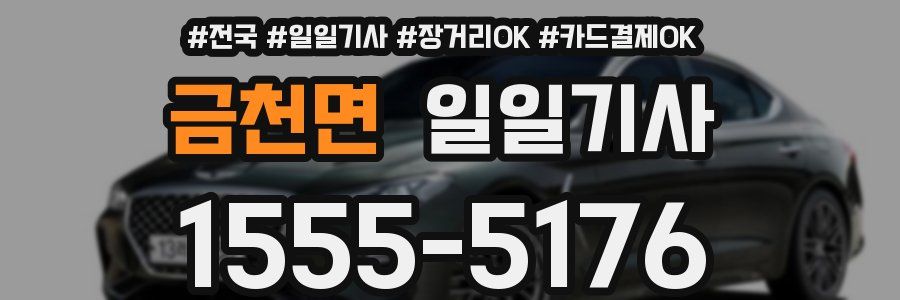 금천면 일일기사