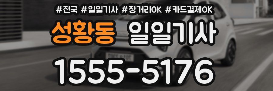 성황동 일일기사