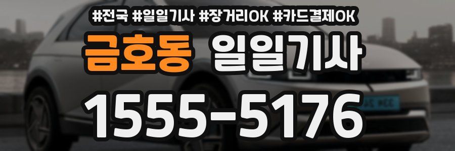 금호동 일일기사