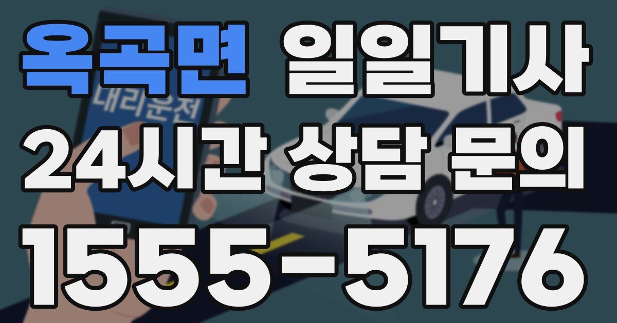 일일대리기사