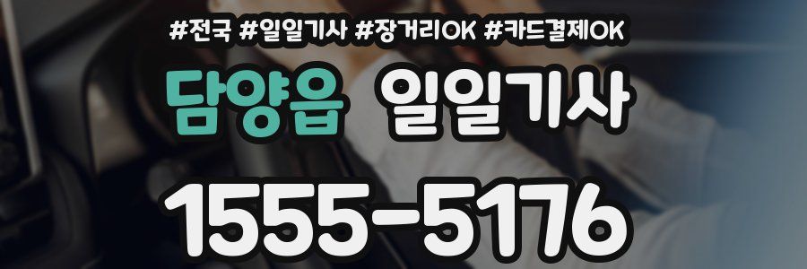 담양읍 일일기사