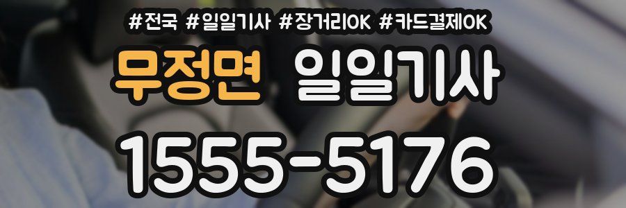 무정면 일일기사