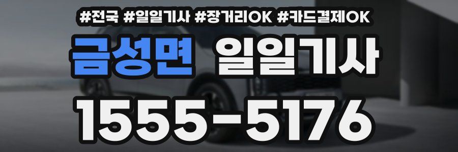 금성면 일일기사