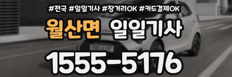 월산면 일일기사