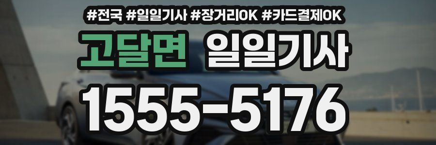 고달면 일일기사