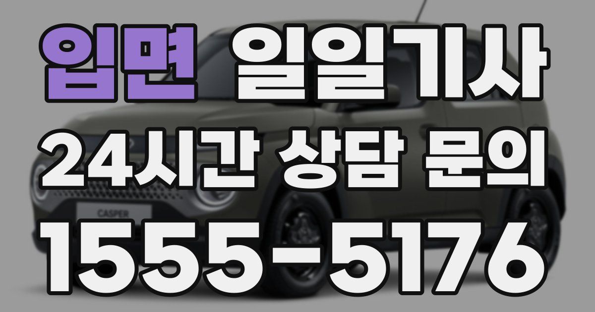 일일대리기사