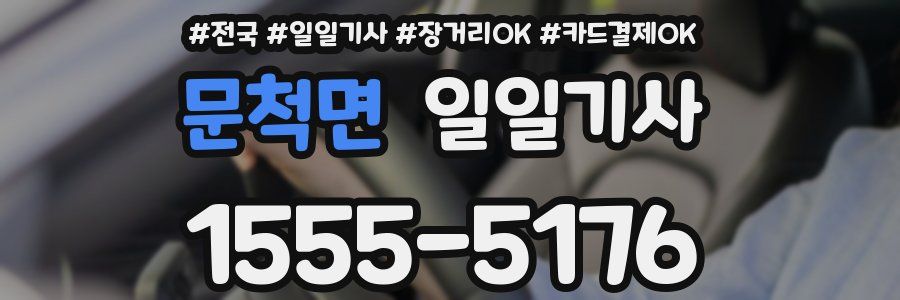 문척면 일일기사