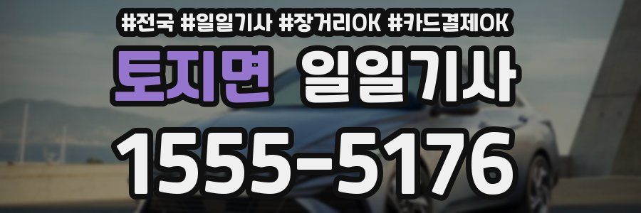 토지면 일일기사