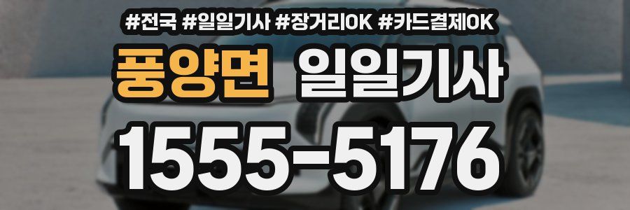 풍양면 일일기사