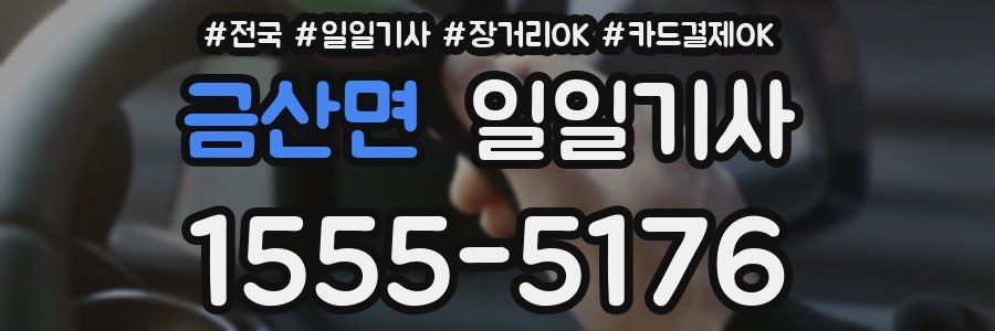 금산면 일일기사