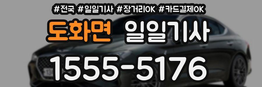 도화면 일일기사