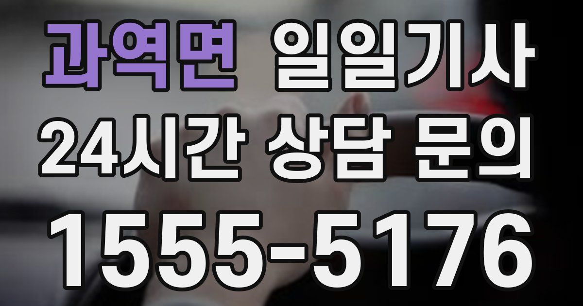 일일대리기사