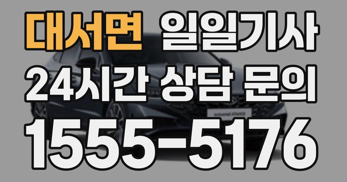 일일대리기사