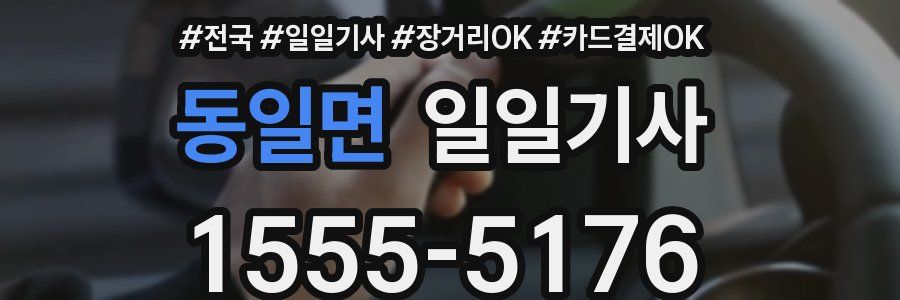 동일면 일일기사