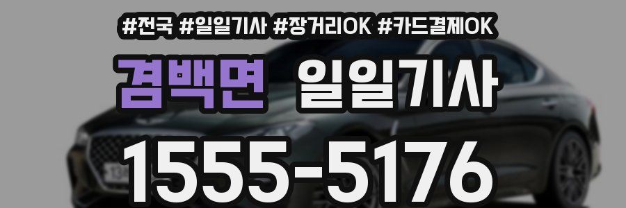 겸백면 일일기사