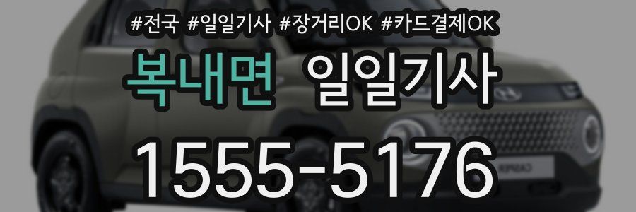 복내면 일일기사