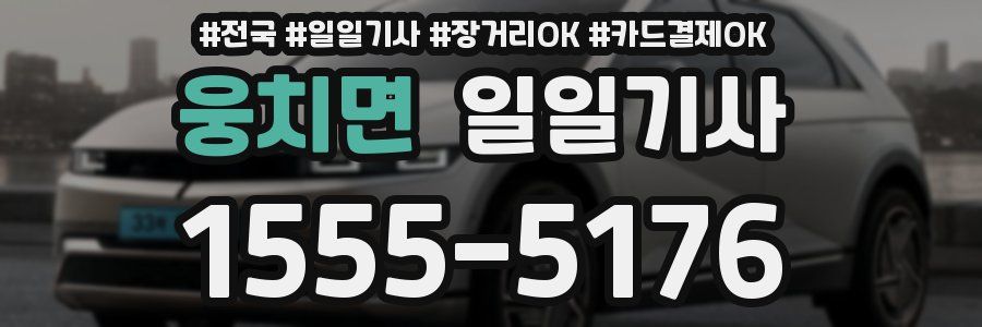 웅치면 일일기사