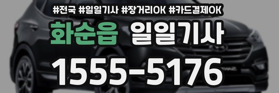 화순읍 일일기사